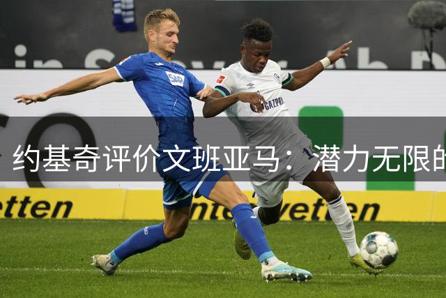 约基奇评价文班亚马：潜力无限的未来巨星